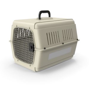 کریر سگ کرم